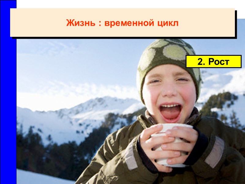 2. Рост Жизнь : временной цикл